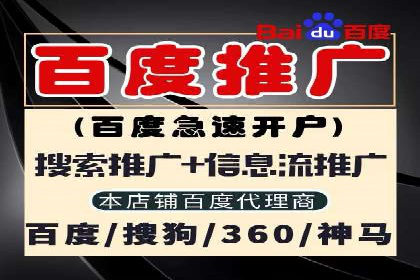 专业SEM代运营推广公司成功案例分享